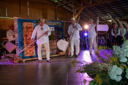 DSC 0806-Copy