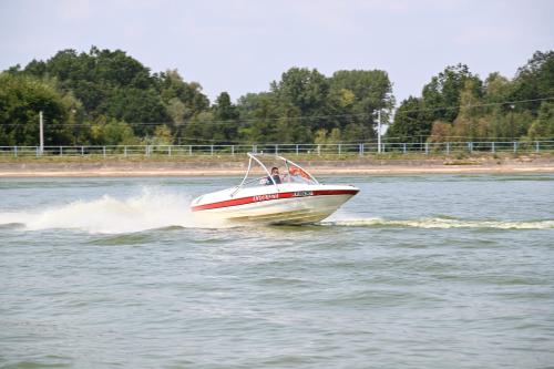DSC 2007
