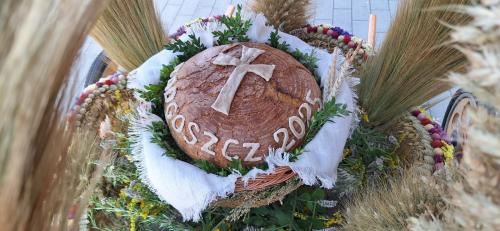 radgoszcz-4